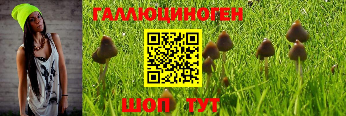 Псилоцибиновые грибы мицелий Стрежевой